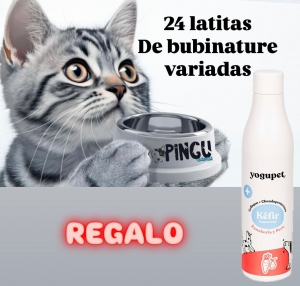 PACK ALIMENTO HUMEDO GATO + KEFIR DE REGALO